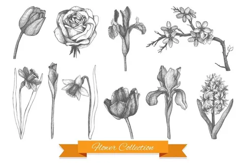 Vintage Flowers Collection