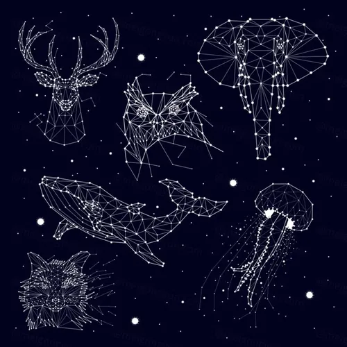 星座图大象猫头鹰鹿鲸水母狐狸星星矢量图形设计素材Set of constellation