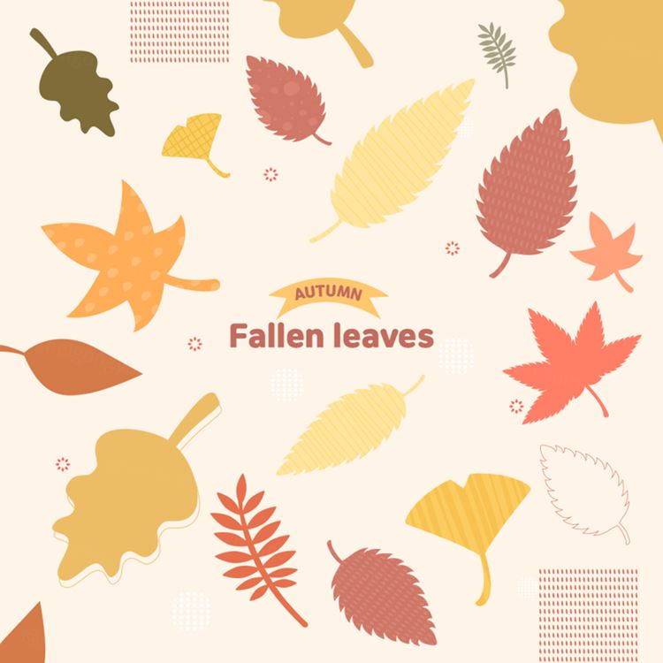秋天秋季落叶枫叶矢量插画素材 Autumn Fallen Leaves