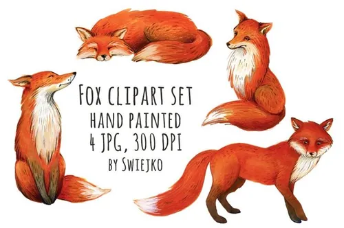 Fox illustration , clipart