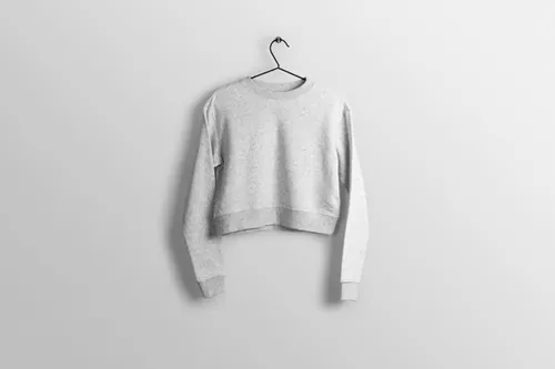 女式超短长袖卫衣服装设计品牌提案样机PSD模板 Mockup of different clothing