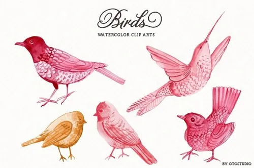手绘水彩鸟儿设计素材Watercolor Bird Illustrations