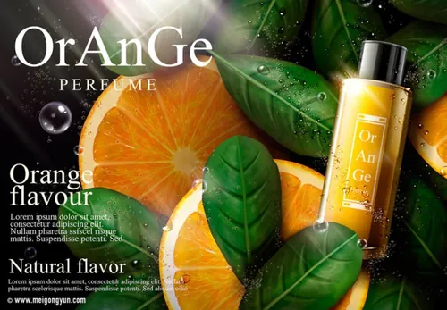 高端桔子护肤品AI矢量海报模板Cosmetic posters template
