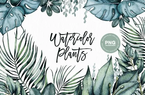 手绘水彩热带植物设计素材 Watercolor Plants
