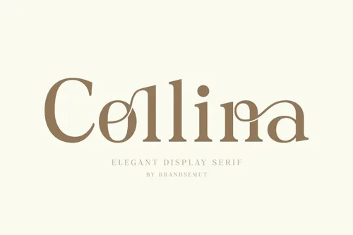 时尚优雅现代怀旧女性婚礼杂志排版英文衬线字体 Collina // Ligature Serif Font