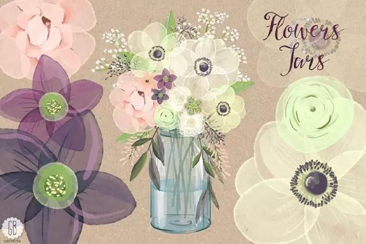 水彩银莲花（海葵）插花插画 Watercolor anemo