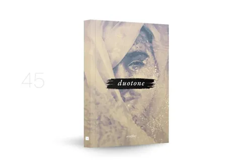 45款双色调摄影照片调色PS动作 DUOTONE - Photosho
