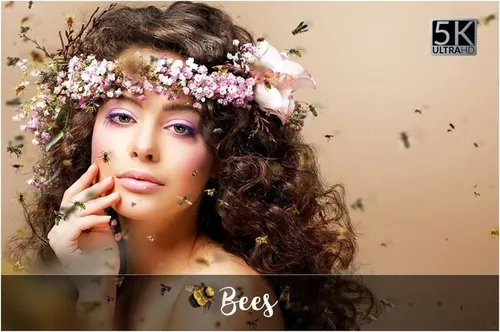 漂浮昆虫图案设计素材5K Bees Overlays