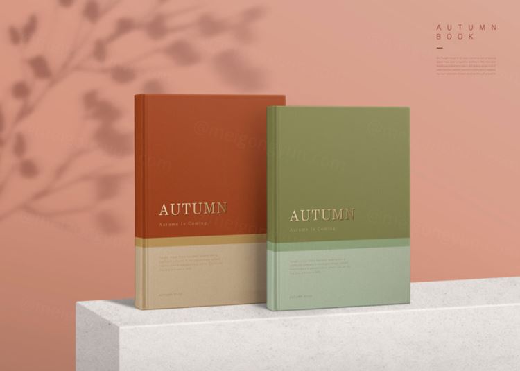 厚皮书籍手册智能展示样机贴图模板