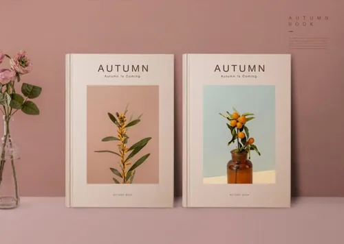 厚皮书籍刊物相册画本贴图模板