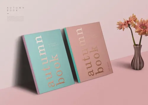 三维立体书籍刊物相册画本贴图模板1