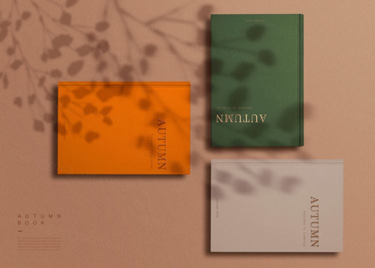 书籍刊物厚皮书记事本场景展示贴图样机5