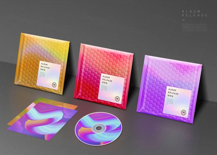 乐摄光盘方针包装软盘包装贴图样机