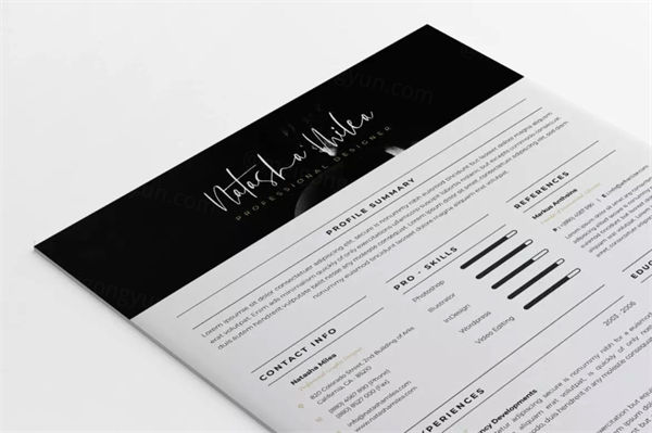 极简主义专业设计师简历模v47 Minimalist CV Resume