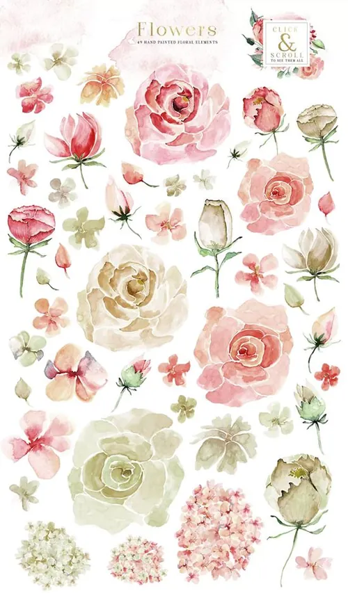 胭脂红玫瑰水彩剪贴画 Creme  Rose Waterco
