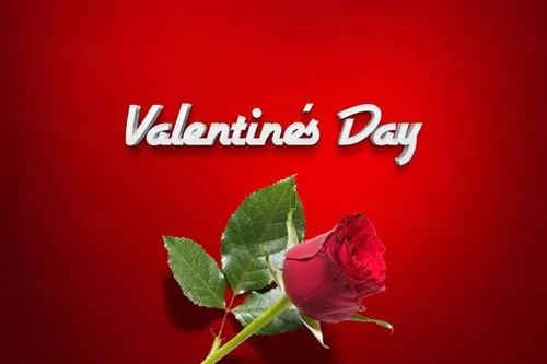 情人节妇女节红色玫瑰花质感元素