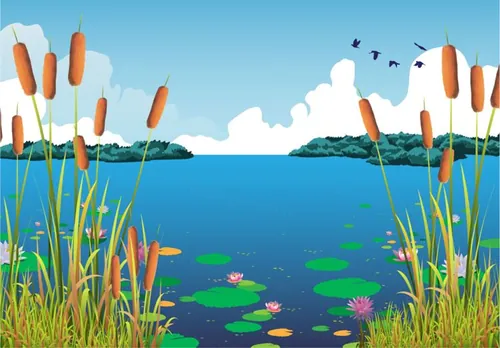 美丽湖泊睡莲蒲公英矢量插图Cattails Vector And Water Lilies At The Beautiful Lake