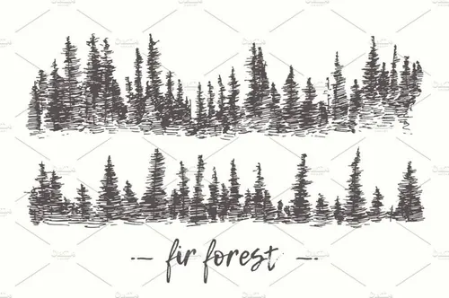 复古手绘森林设计素材Two illustrations of a fir forest