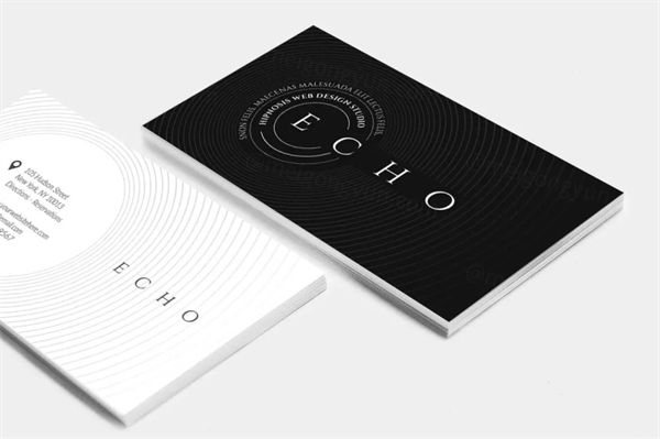 经典黑白配色简约风企业名片模板 Echo Business Card Design