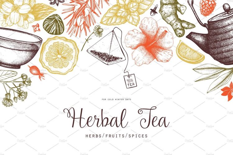 各种茶成分茶元素矢量 Vector Tea Ingredie