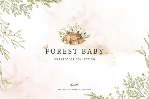 水彩森林动物宝贝水彩插画 Watercolor Forest