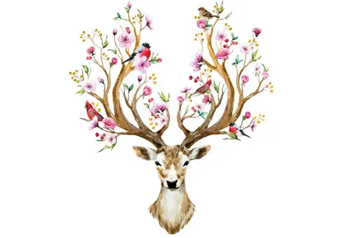 鹿角鲜花植物花鸟水彩矢量插图设计素材Deer vector illustration