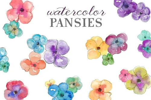 漂亮的手绘水彩三色紫罗兰插画素材 Watercolor Pa