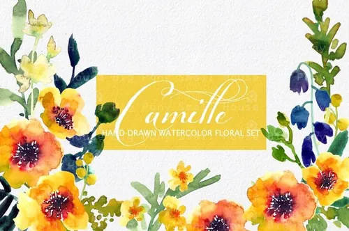水彩阳光暖黄色花卉素材 Camille  Watercolo
