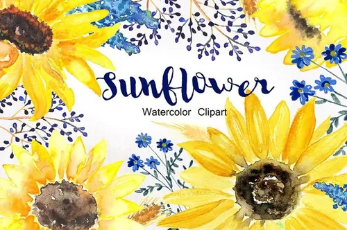 美丽手绘水彩田野草本植物插画 Sunflowers rust