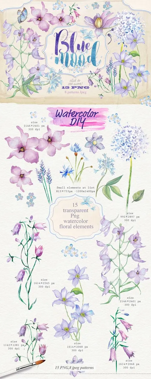 蓝色手绘水彩花卉插画素材合集 Floral collecti
