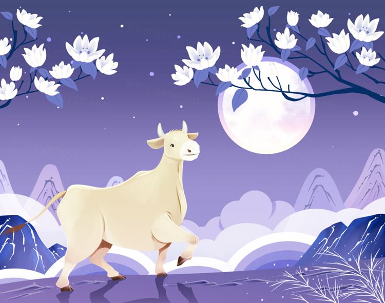 2021新年中国年牛牛牛年年画插画插图素材