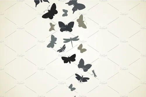 蝴蝶矢量插图Flight of butterflies