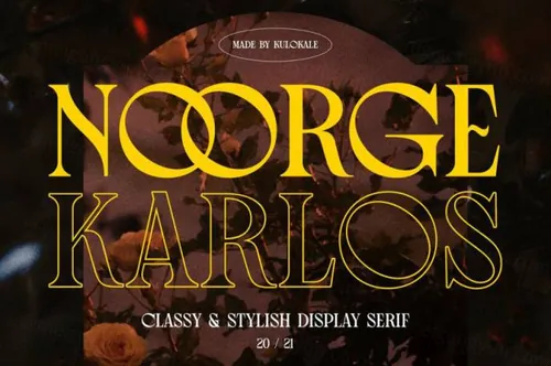 新复古酸性艺术高雅奢华的衬线英文字体 Noorge Karlos - Display Serif Font