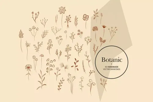 简约清新优雅手绘矢量植物插画集合-AI，EPS