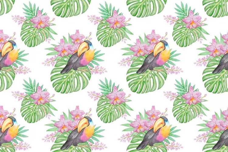 热带主题手绘水彩图案合集 Watercolor Tropic
