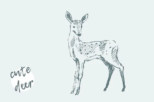 手绘梅花鹿设计素材Sketch of a deer