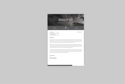 产品经理职位应聘电子简历模板 Silent Resume Designer