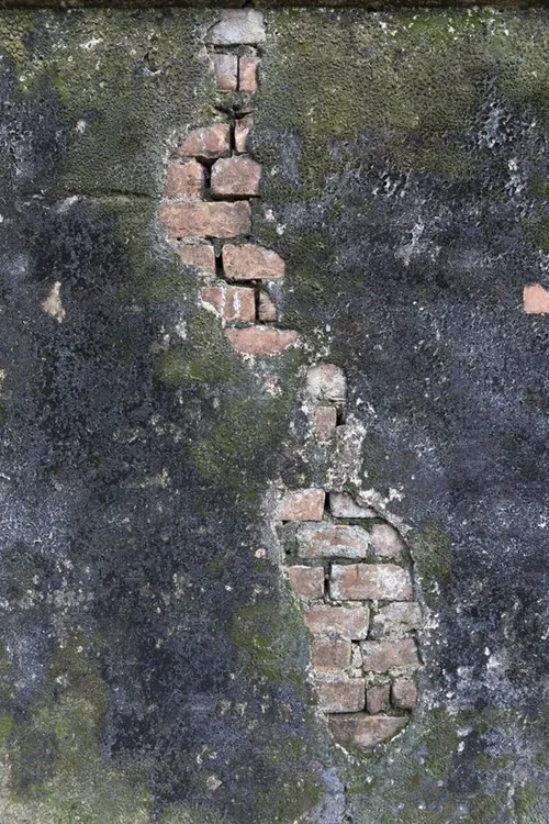 墙体材质背景纹理 Old Wall