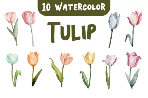 10种郁金香花水彩插画 10 Watercolor Tulip Flower Illustration Graphics