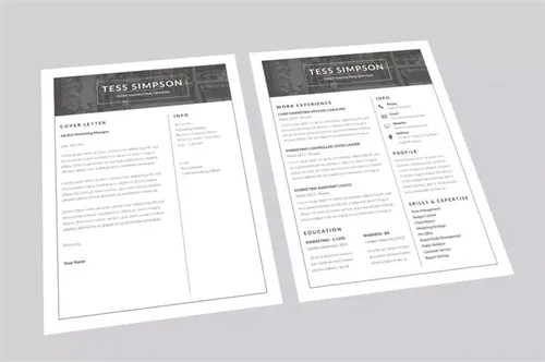 首席营销官履历表排版设计模板 CV Power Resume Designer