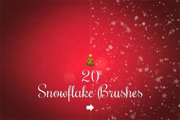 20个雪花效果的笔刷 20 Snowflake brushes