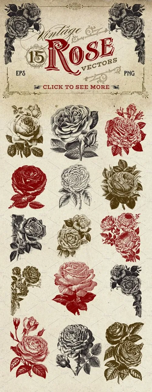 复古冷艳手绘玫瑰矢量插画 Vintage Rose Vect