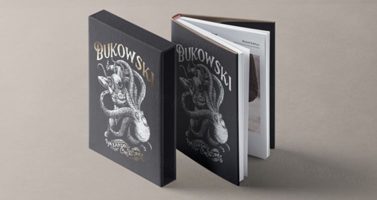 直立透视沙皮书模型PSD贴图模板Psd Slipcase Book Mockup