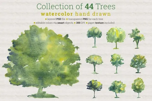 44种形状水彩树木插画 Collection of 44 W