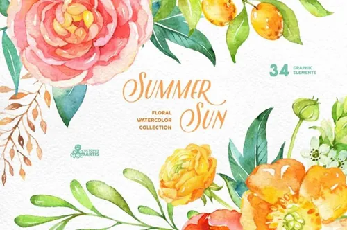 夏日太阳色水彩花卉插画 Summer Sun. Floral