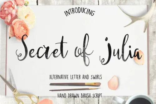 朱莉娅的秘密脚本字体 Secret of Julia Script Font
