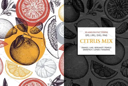 柑橘类水果图案集合 Citrus Fruits Patter