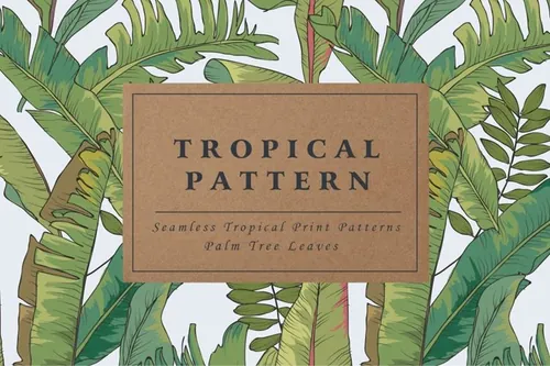 棕榈树的叶子插画素材 Palm Tree Leaves