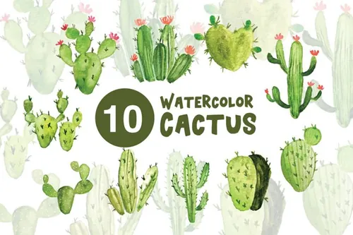 10款绿色植物仙人掌水彩插画 10 Watercolor Cactus Illustrations