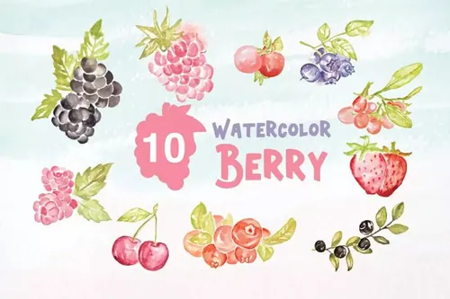 10款浆果装饰元素水彩插画 10 Watercolor Berry Illustration Graphics